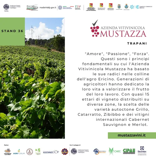 Azienda Vitivinicola Mustazza