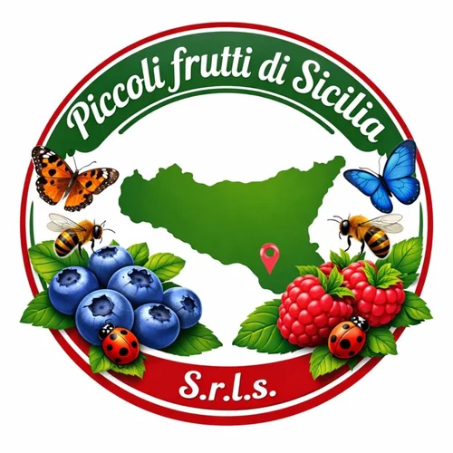 Piccoli Frutti di Sicilia S.r.l.s Società Agricola 