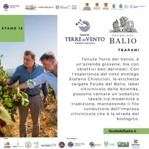 Tenute Terre del Vento 