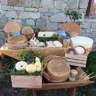 AZIENDA FERRARA SALVATORE